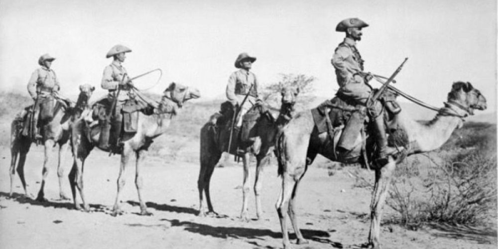 12 Secrets About The USA’s Camel Corps